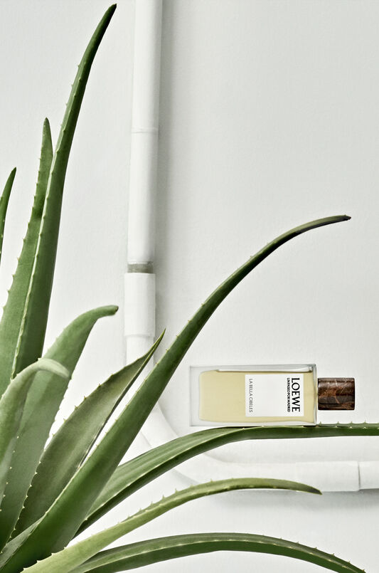 LOEWE Un Paseo Por Madrid 'La Bella Cibeles' 150ml