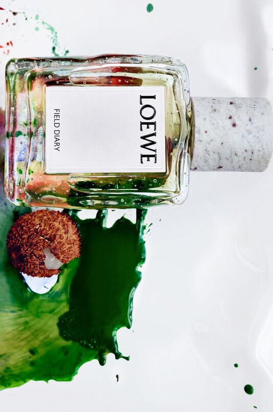 LOEWE Field Diary Eau de Parfum 100ml