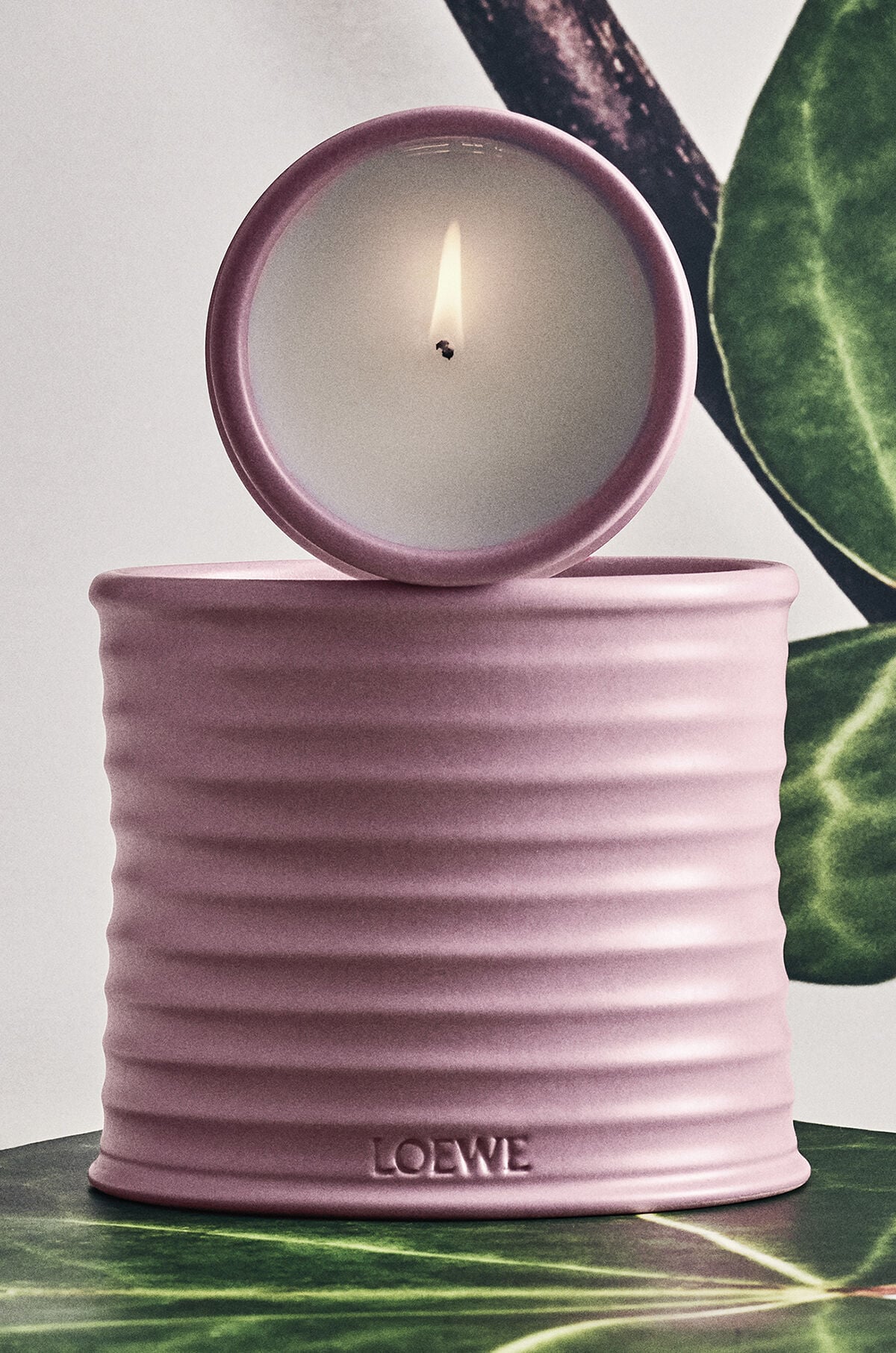 Ivy | LOEWE Perfumes