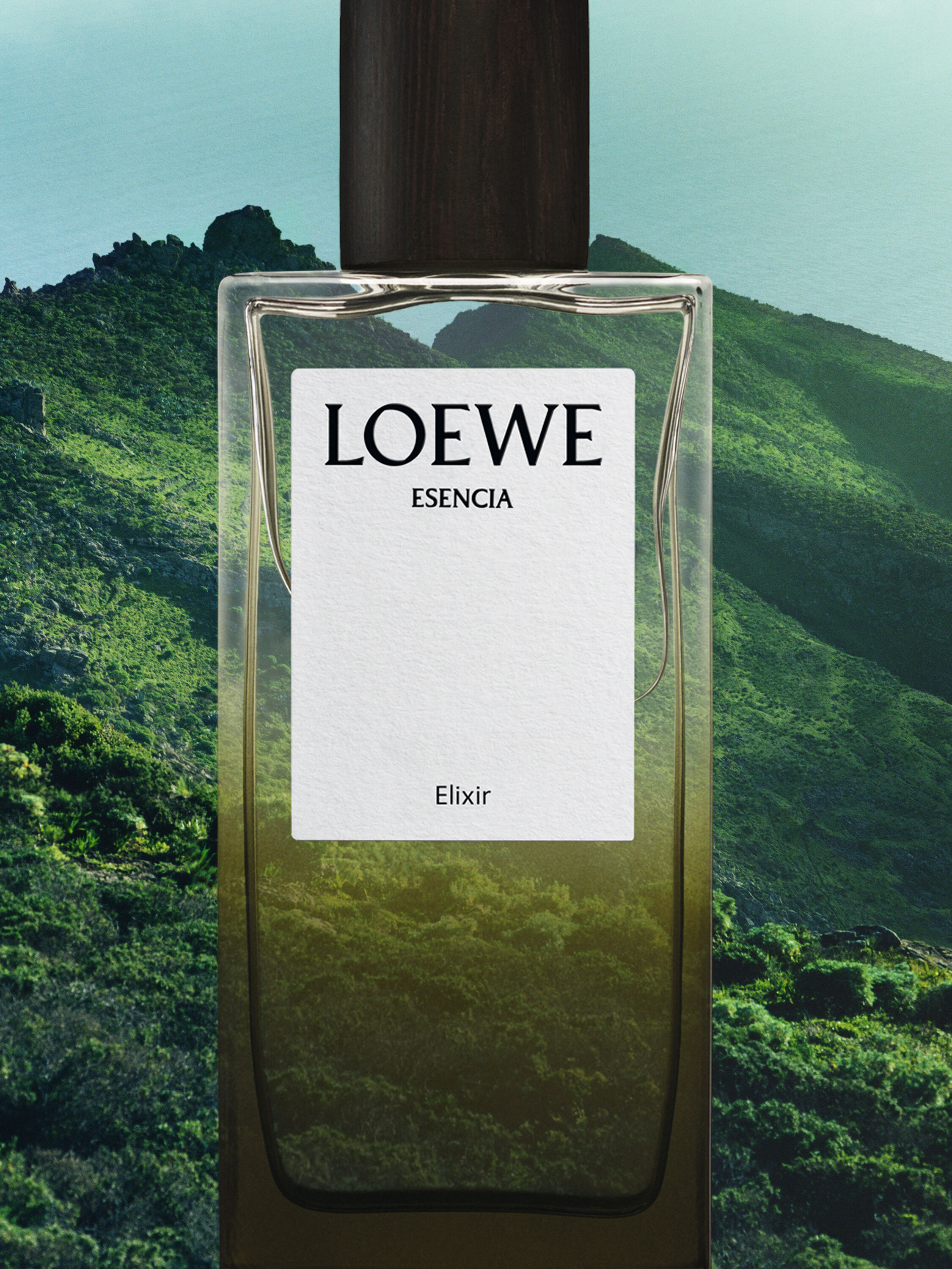Loewe Earth : Discover our Selection | LOEWE Perfumes