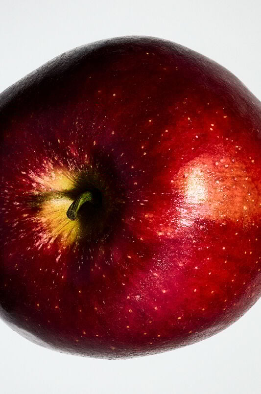 LOEWE Solo Ella Elixir 100ml