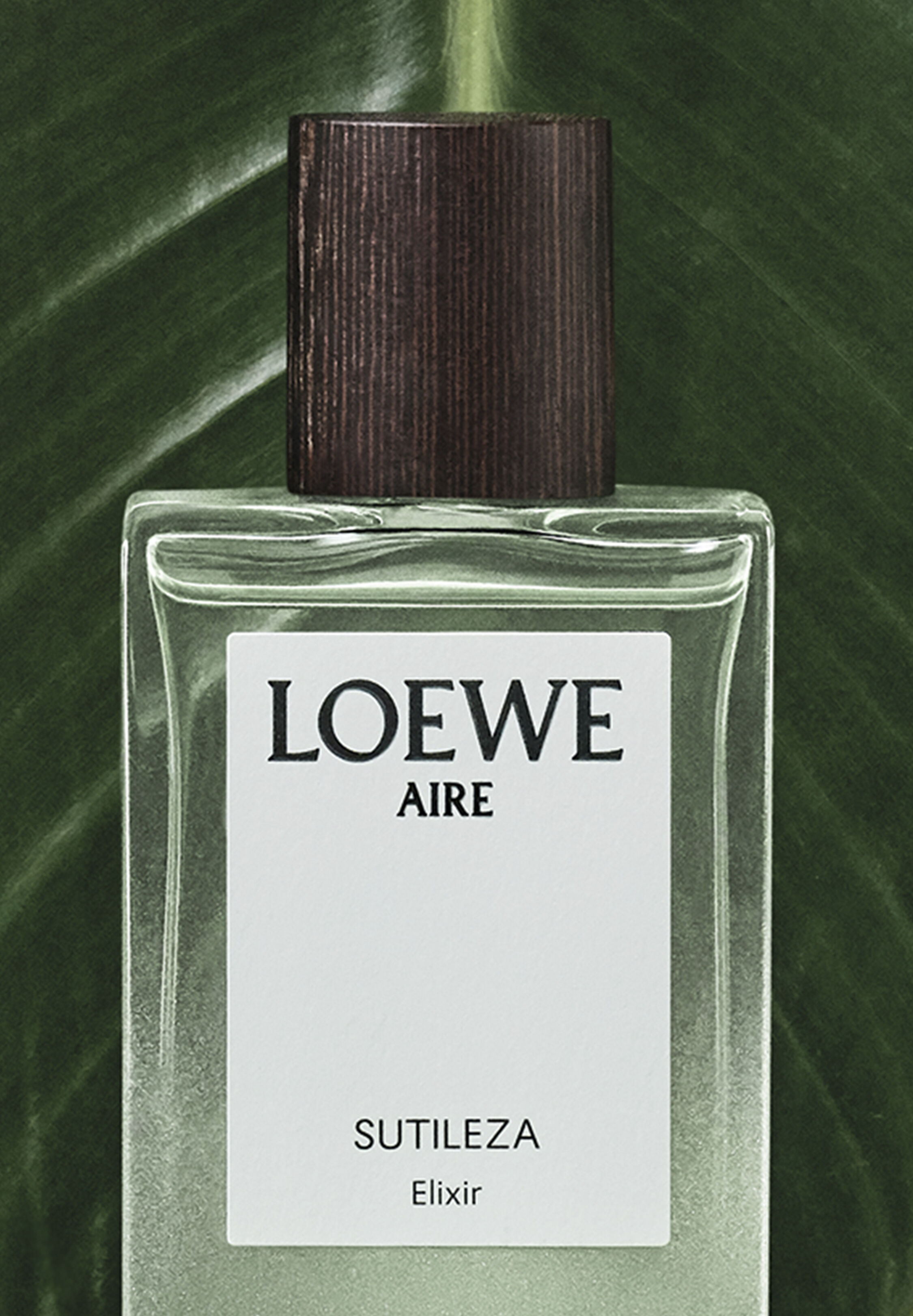 LOEWE Perfumes | Spanish Luxury Perfumes & Scents
