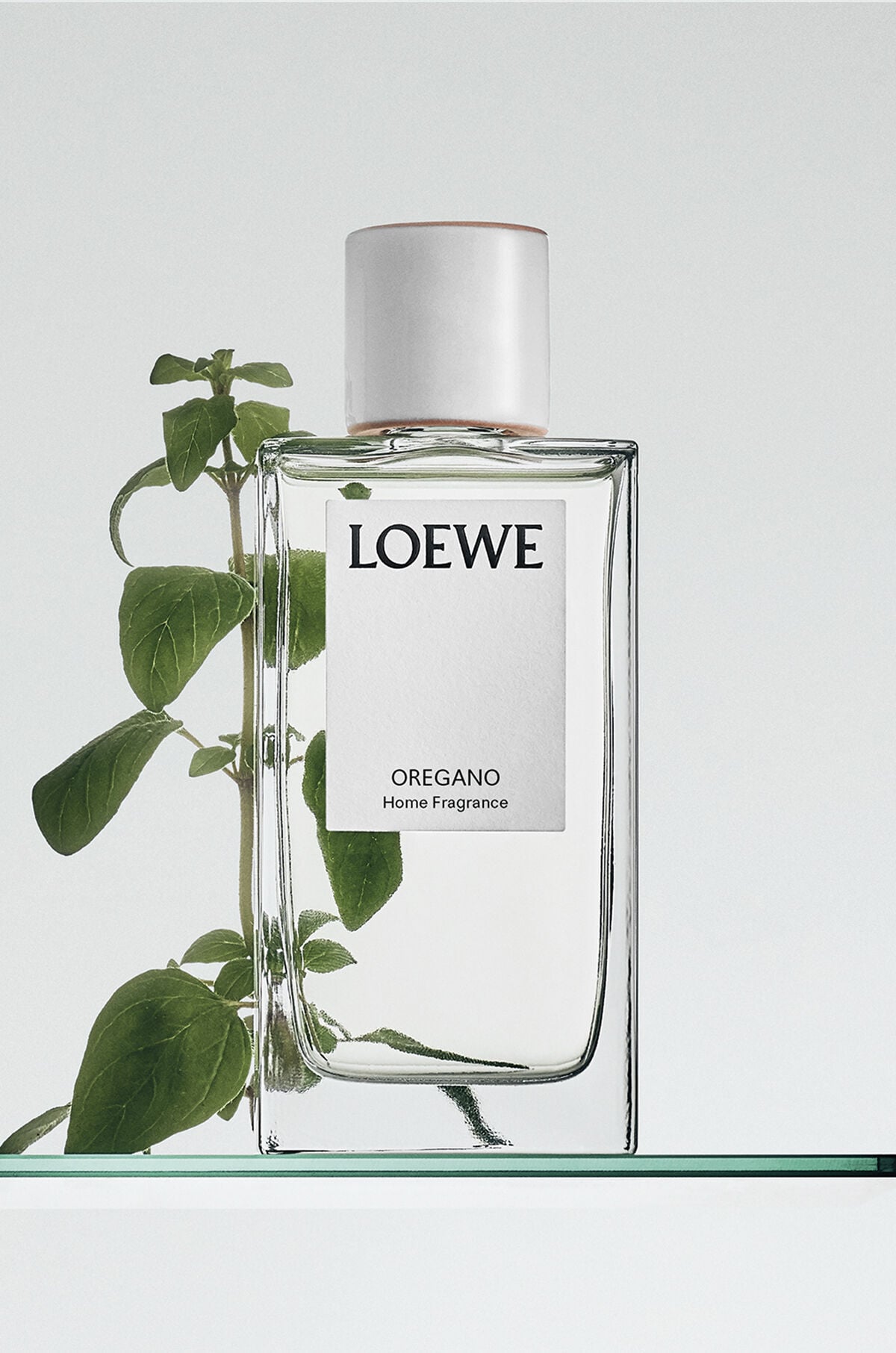 ルームスプレー | LOEWE Perfumes