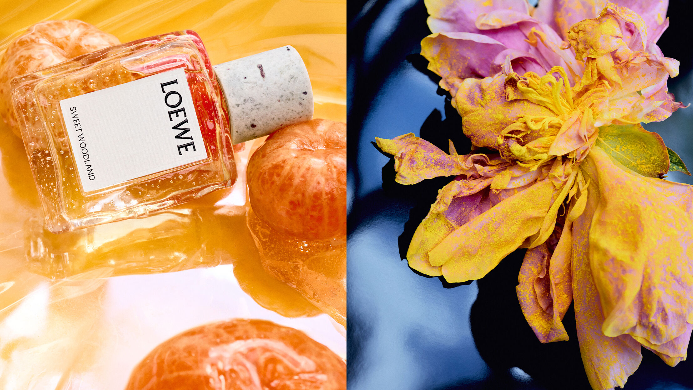 フレグランス: オードパルファム, オードトワレ | LOEWE Perfumes
