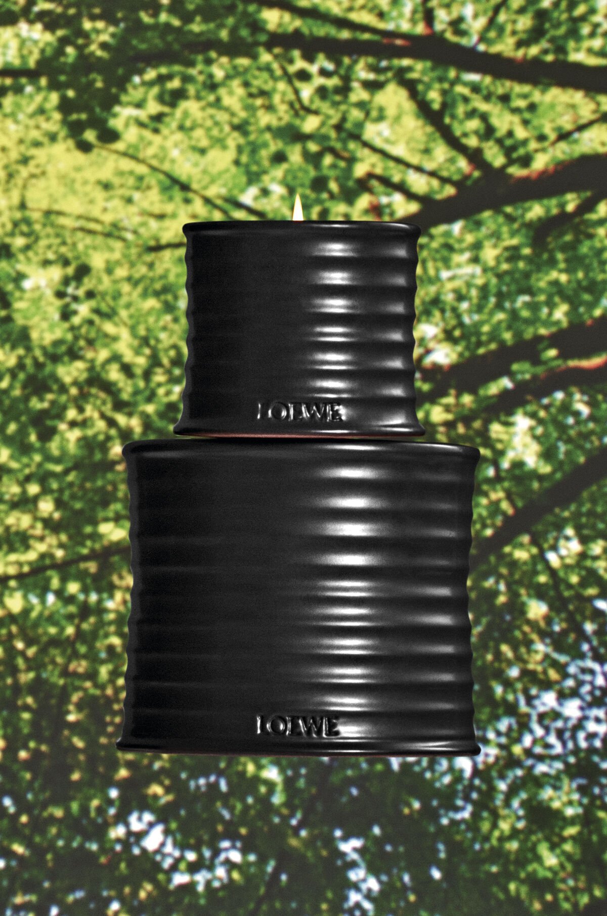 Luxury Scented & Decorative Candles | LOEWE Perfumes