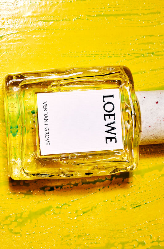 LOEWE Verdant Grove Eau de Parfum 100ml