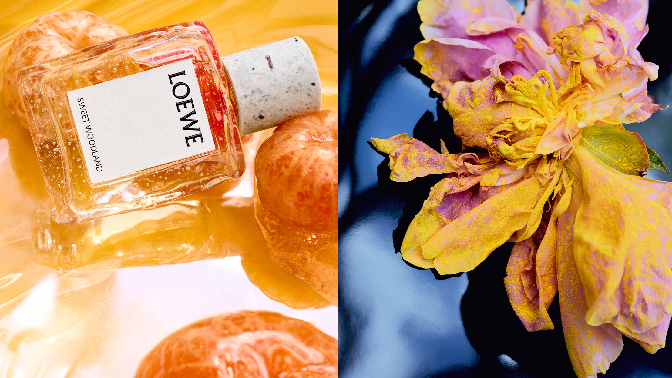 Loewe Earth : Discover our Selection | LOEWE Perfumes