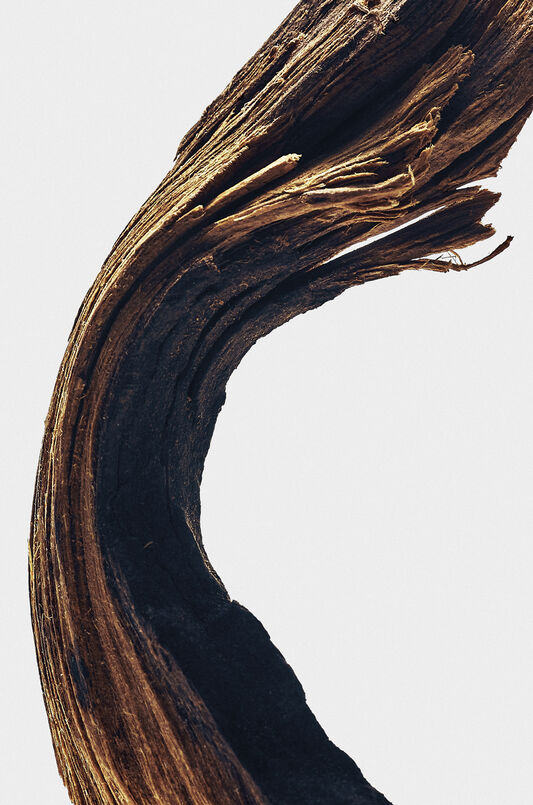 LOEWE 001 Man Eau de Toilette 100ml