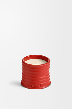 Small Tomato Leaves Candle