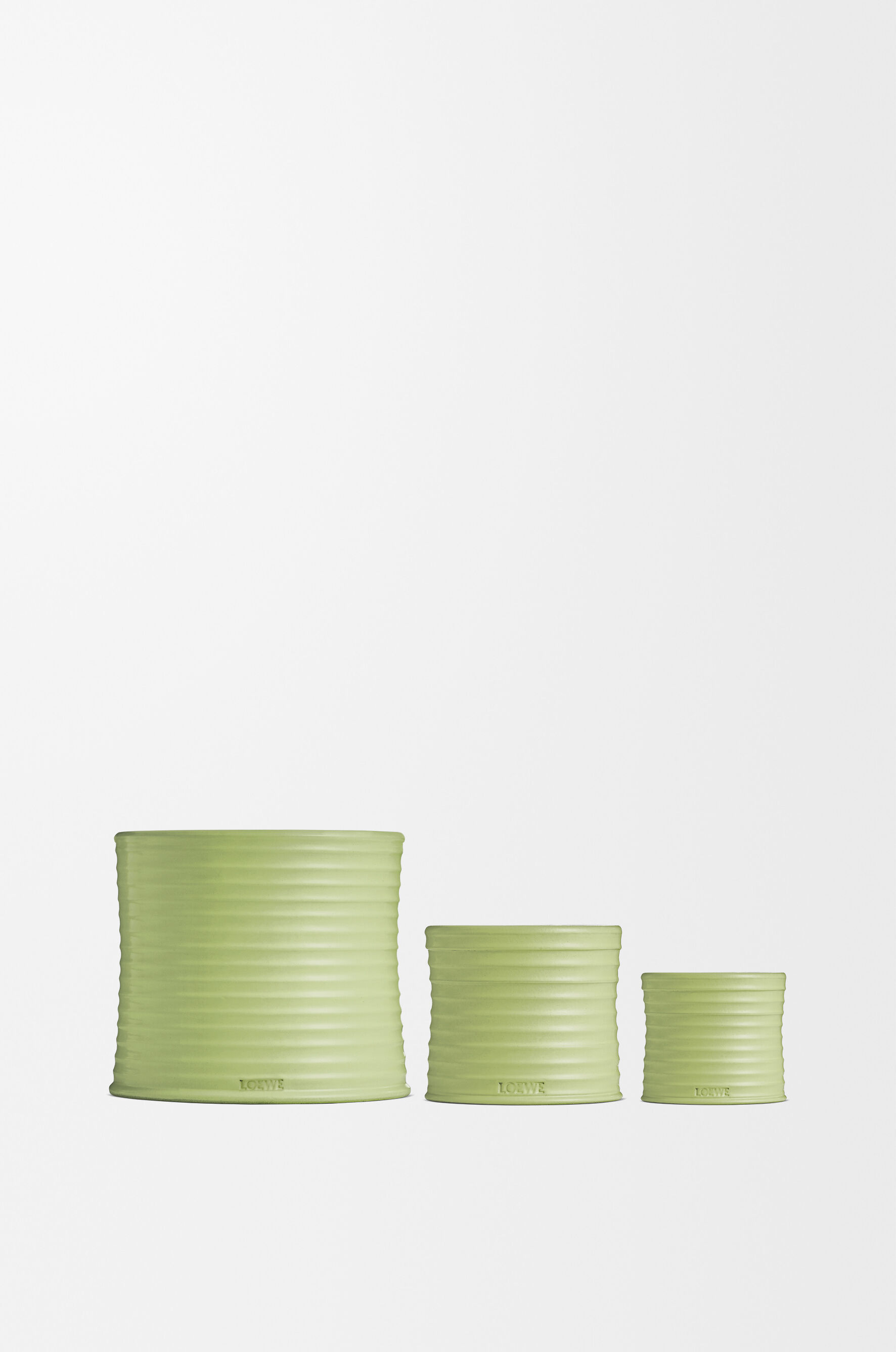 Cucumber | LOEWE Perfumes