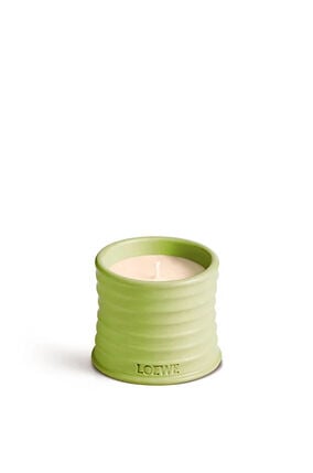 Small Cucumber Candle
