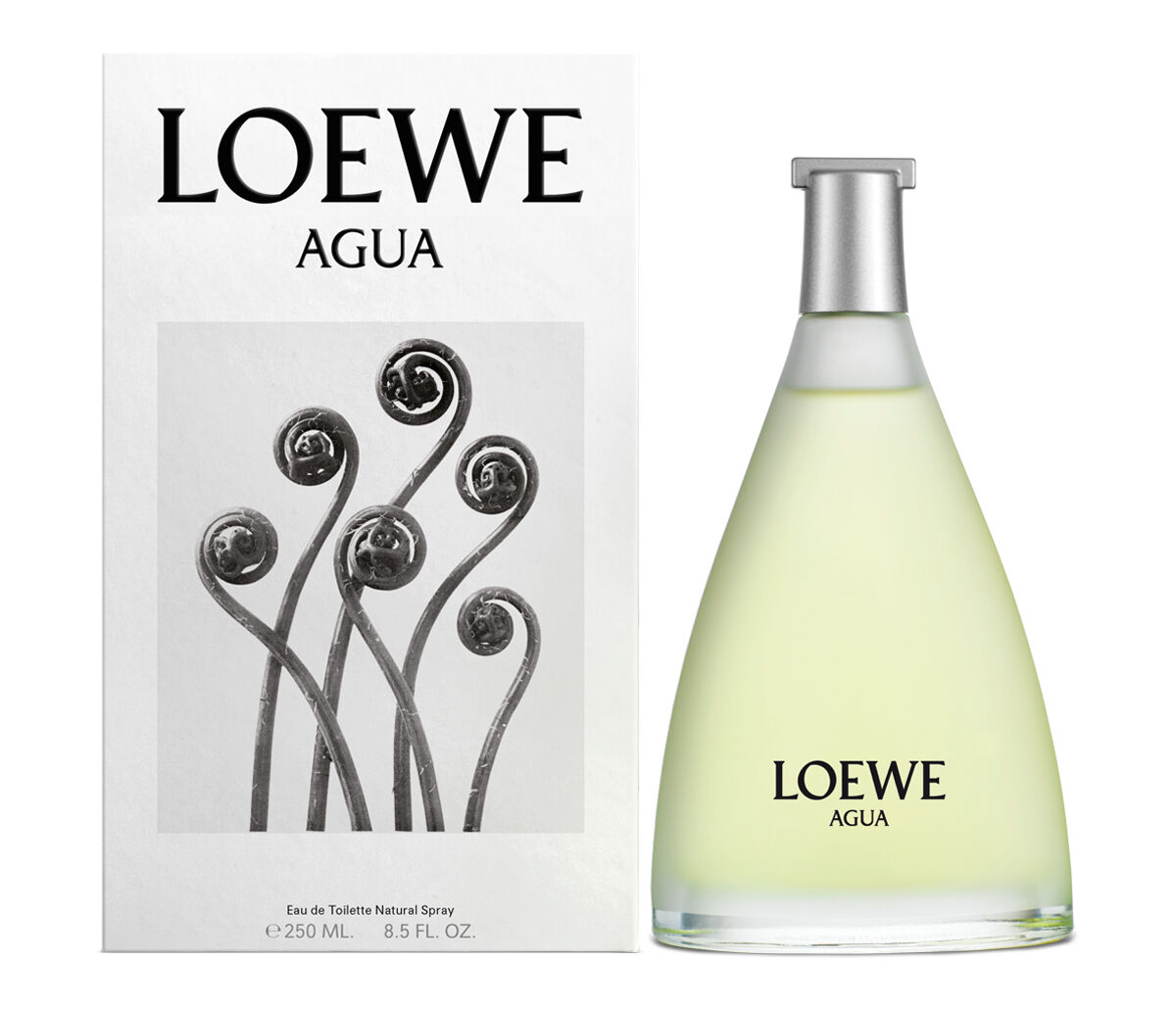 LOEWE Agua EDT Classic | LOEWE Perfumes