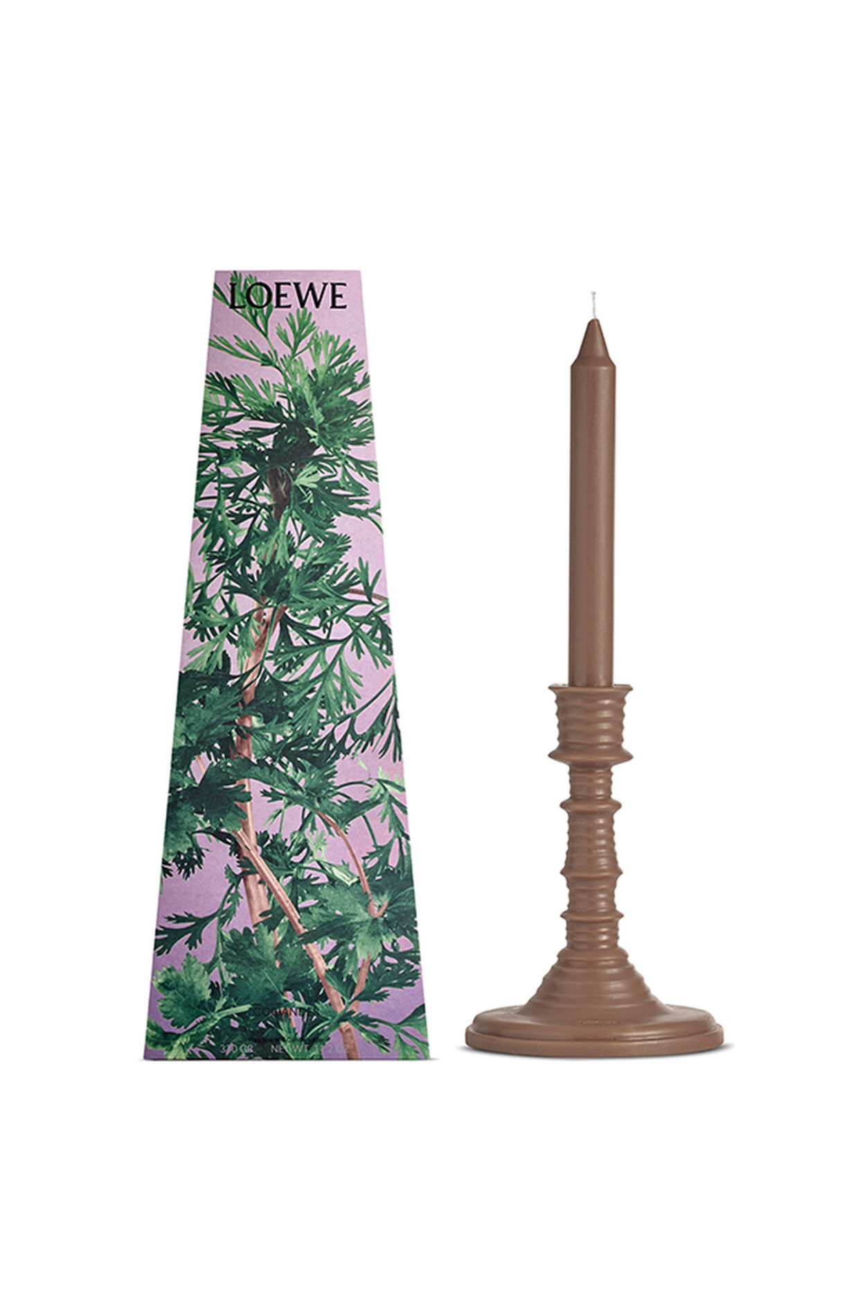 Coriander wax candleholder 3 of 4