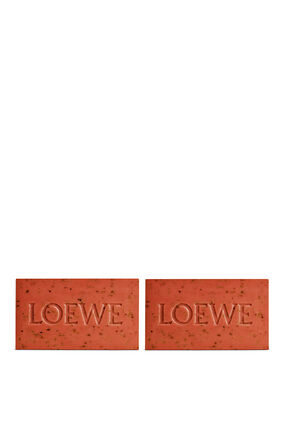 Small Solid Soap Duo Set Tomato Leaves