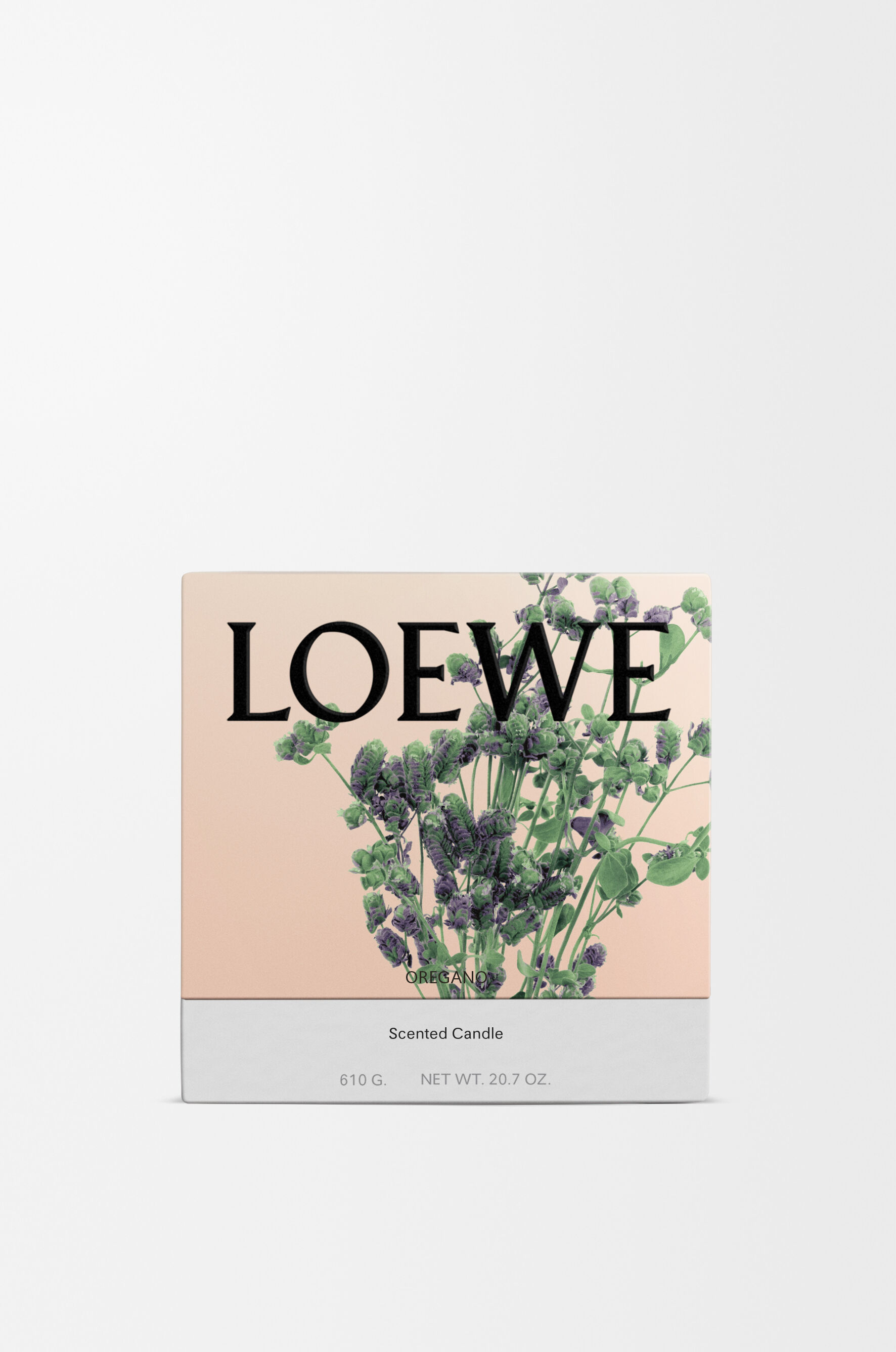 Oregano | LOEWE Perfumes