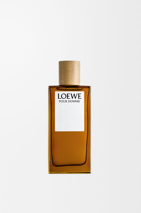 LOEWE Pour Homme EDT 100ml