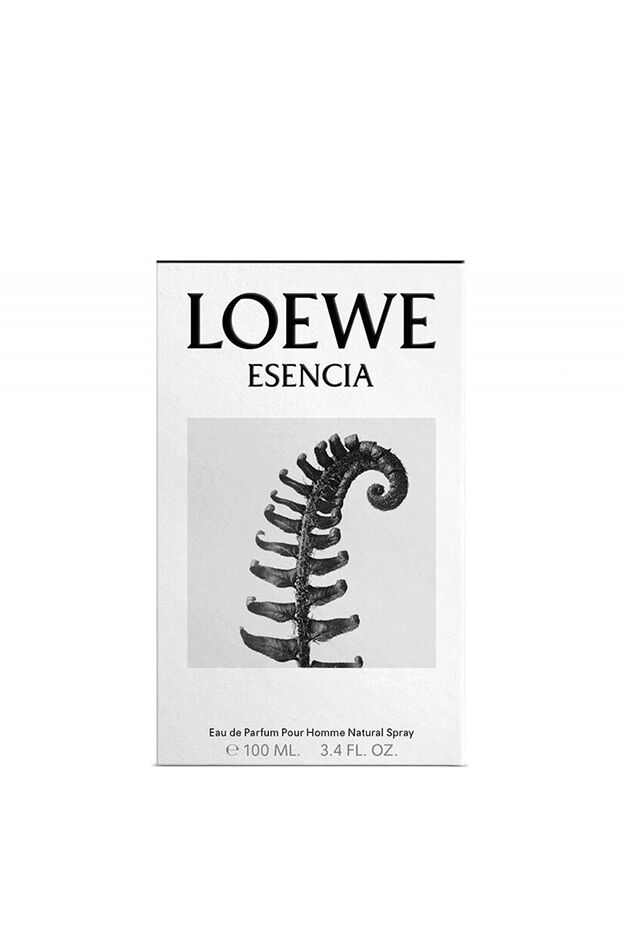 loewe perfume esencia