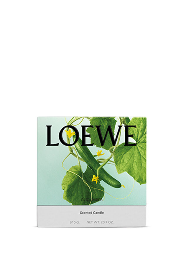 キュウリのキャンドル 2 of 5