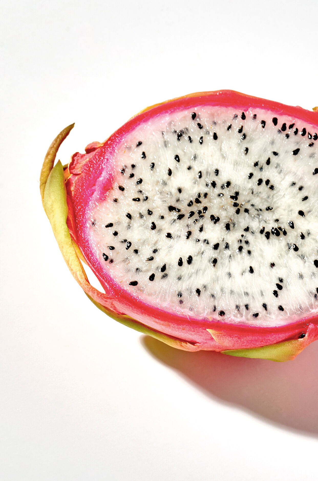 LOEWE Solo Ella EDT 100ml 3 de 4