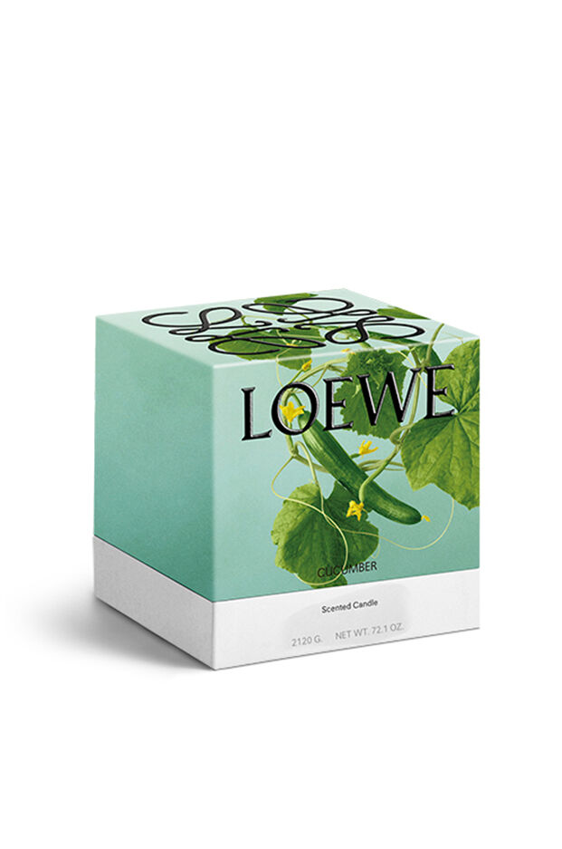 Vela grande Cucumber 2 de 5
