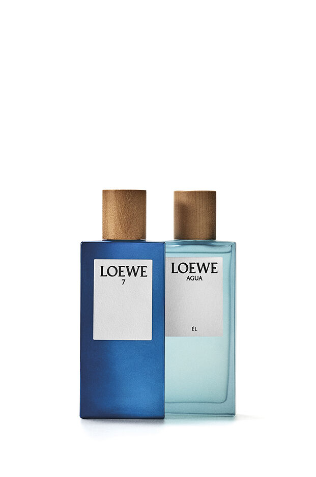 今すぐ購入 ロエベ アグア エル 100ml | ロエベ パルファム