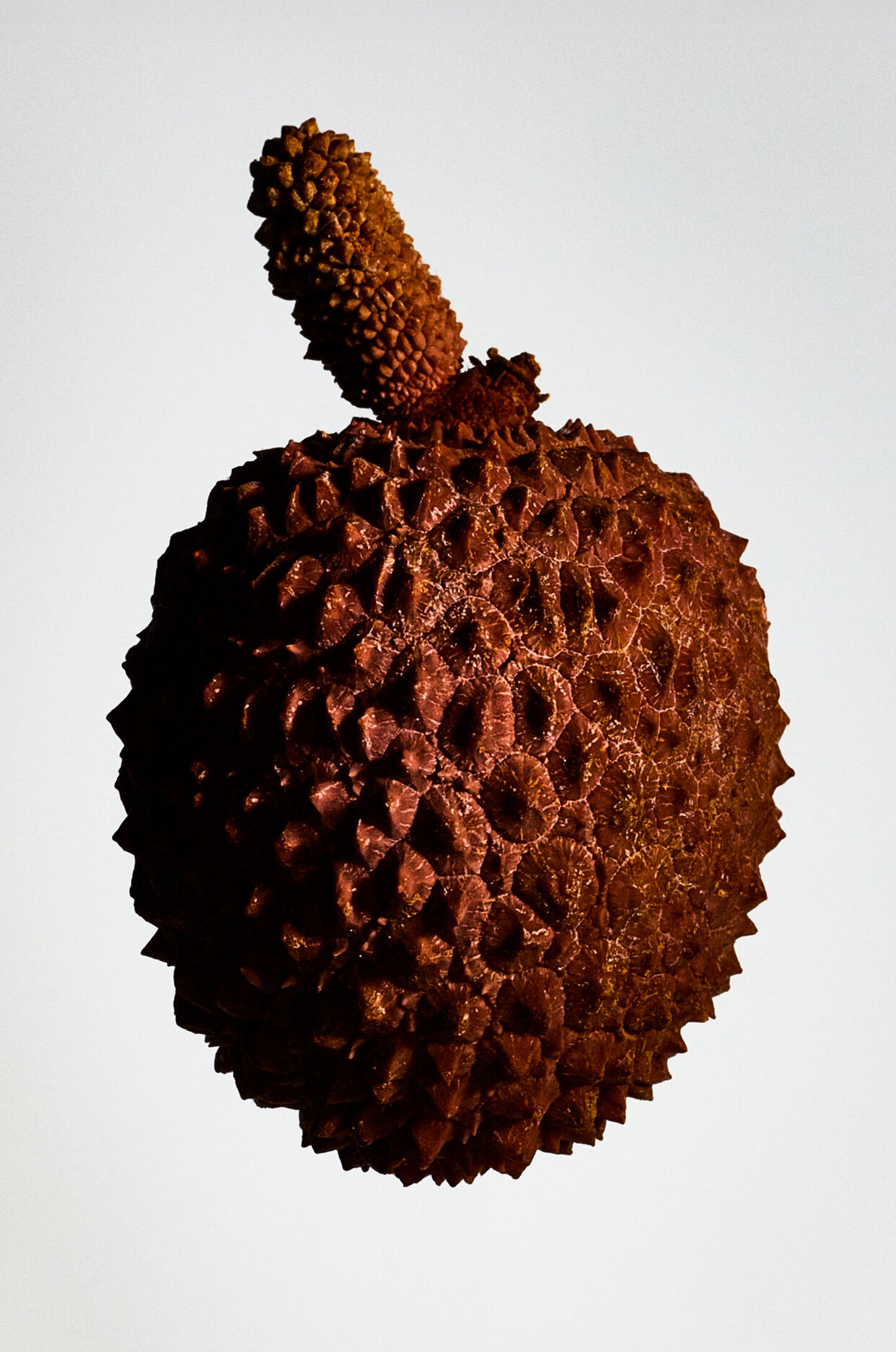 LOEWE Un Paseo Por Madrid 'Prado' 100ml 3 of 4