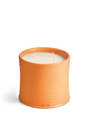 橙花蠟燭