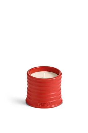 Small Tomato Leaves Candle