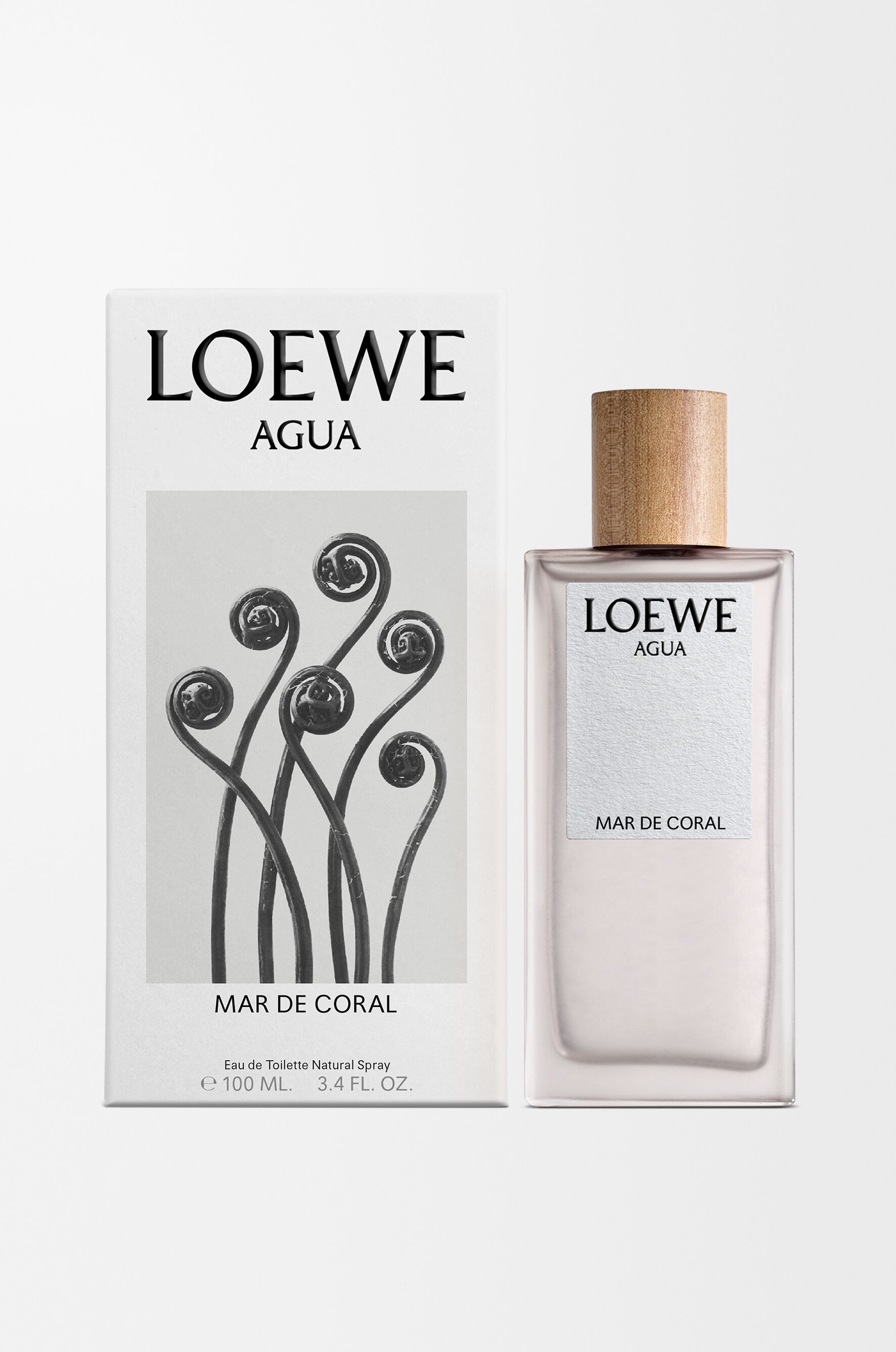 今すぐ購入 ロエベ アグア マル デ コーラル オードゥ トワレ 100ml