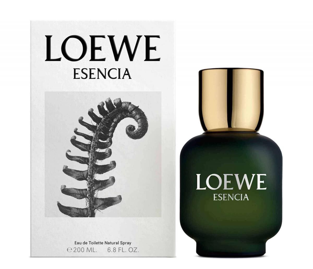 essence loewe perfume