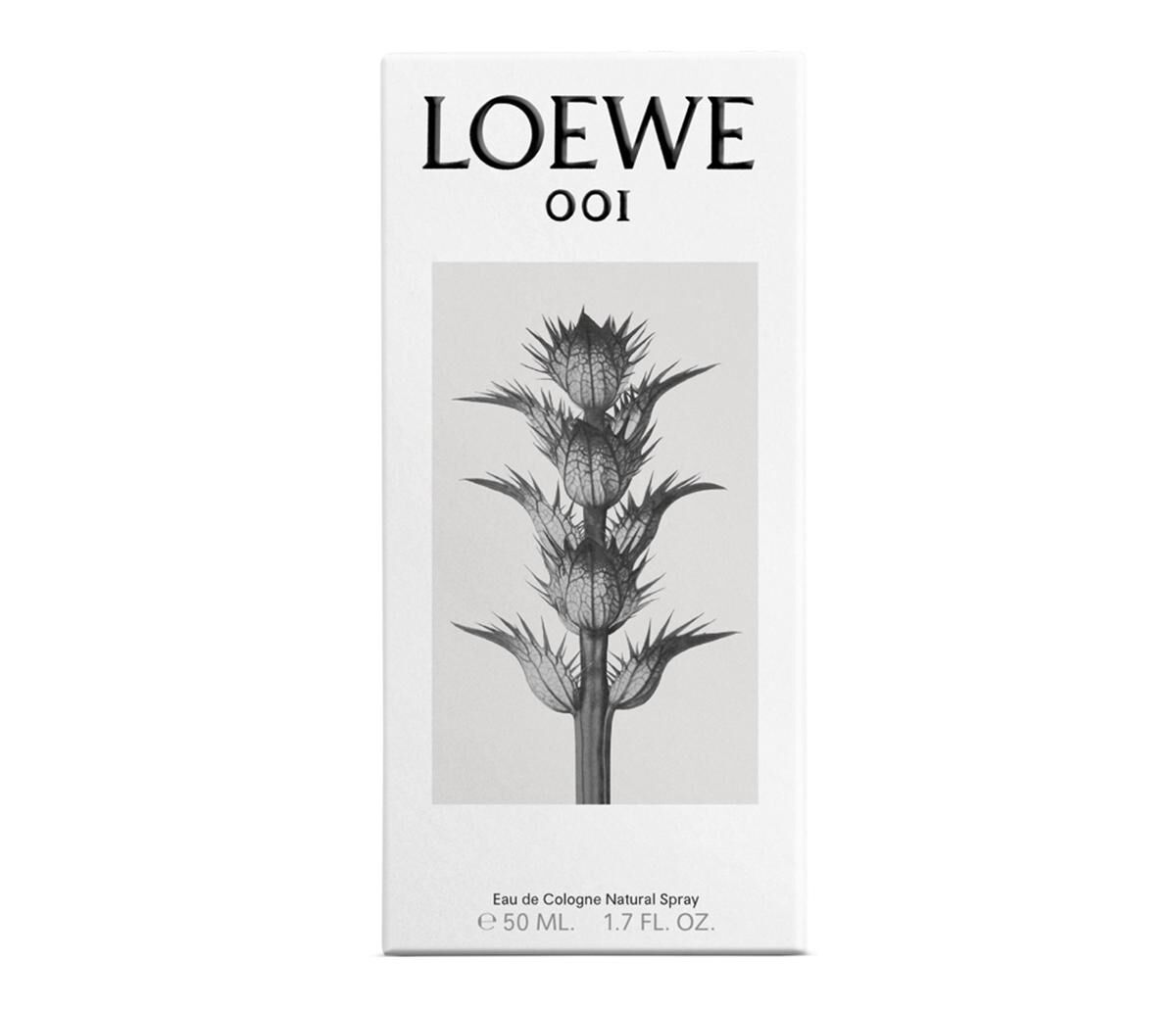 loewe 001 50ml