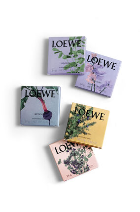 Sample Box | LOEWE Perfumes