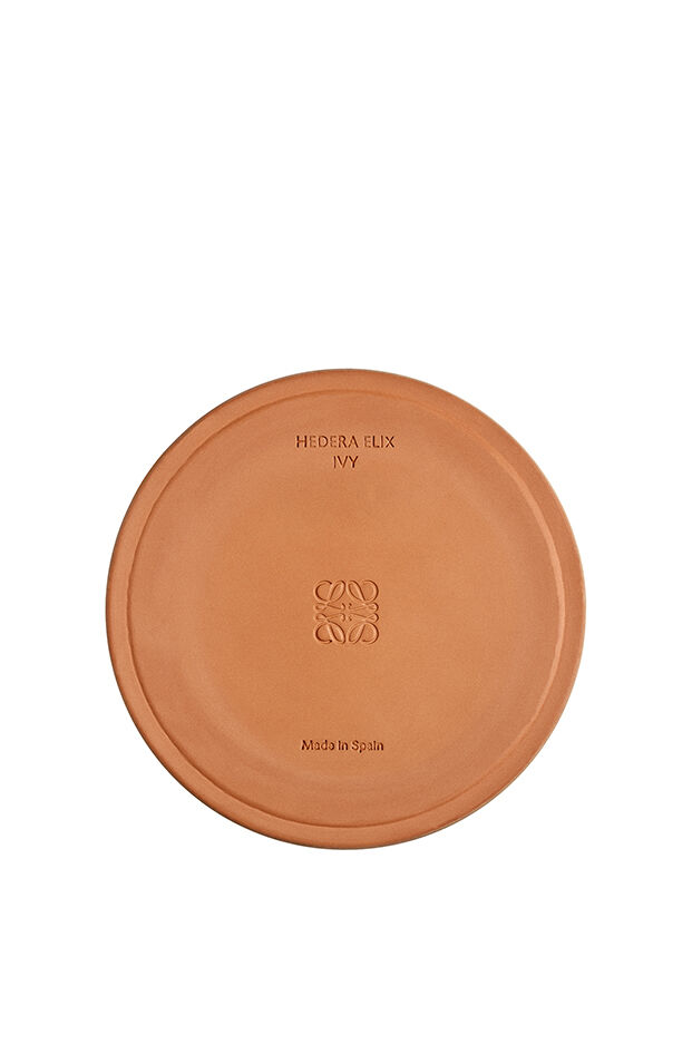 Large Ivy Candle 3 of 6