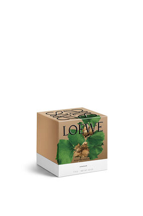 「Roasted Hazelnut」 キャンドル