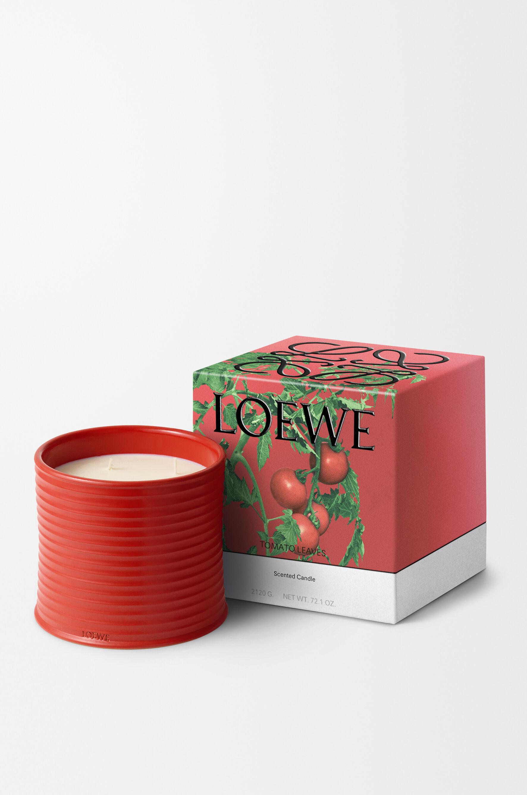 Tomato Leaves | LOEWE Perfumes
