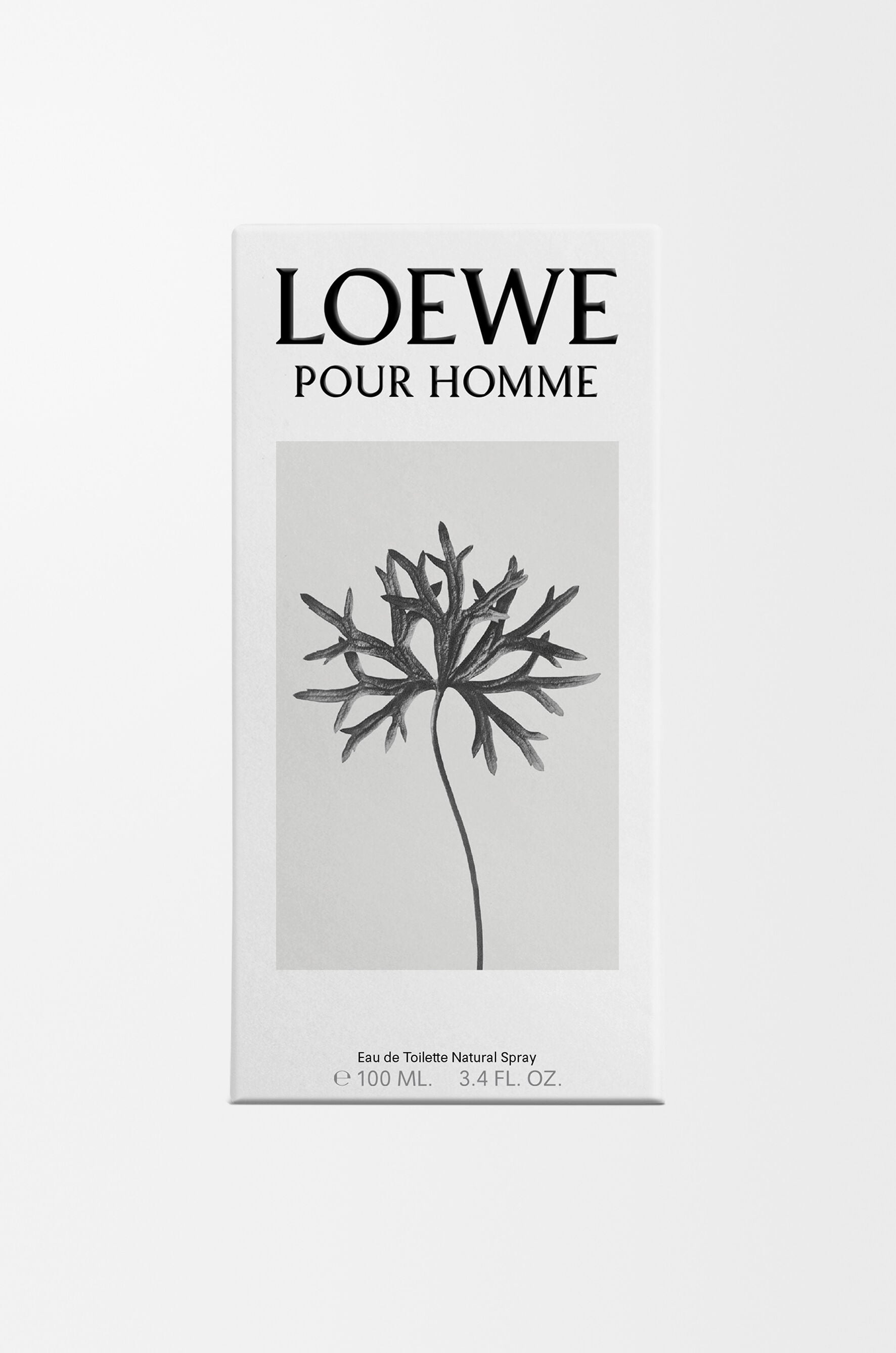 LOEWE ロエベ POUR HOMME オードトワレ 100mL PDP_pourhomme_3.jpg?sw=1242&sh
