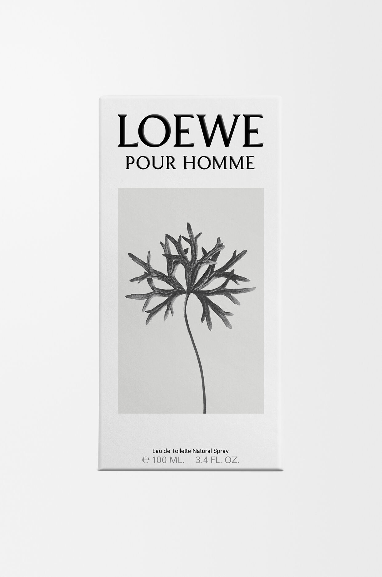 LOEWE Pour Homme EDT 100ml