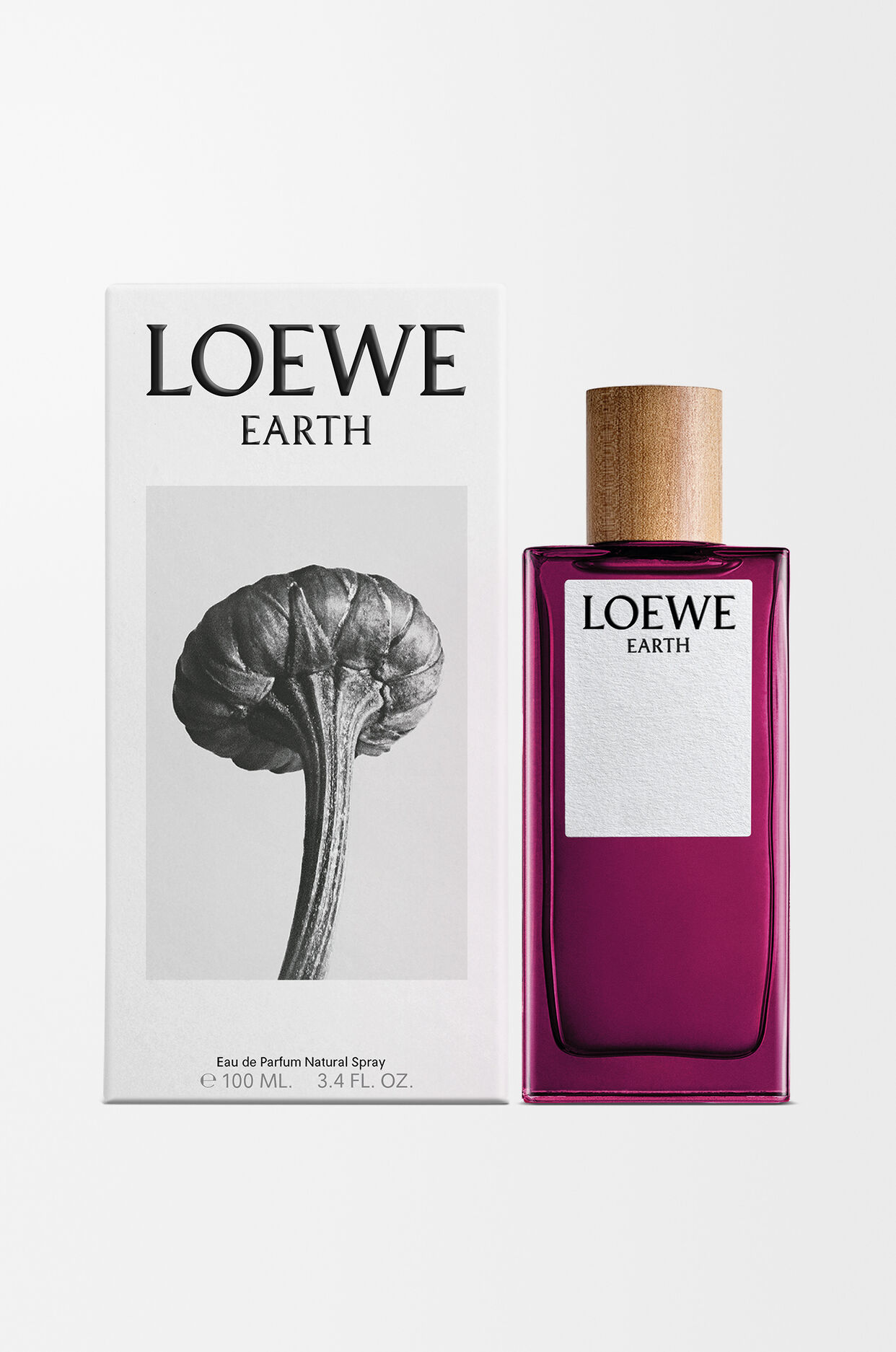 LOEWE Earth EDP 100ml