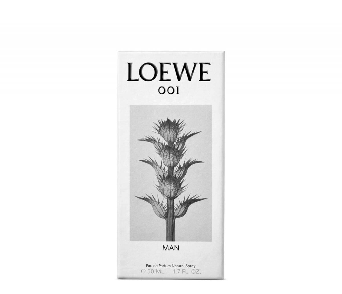 loewe 001