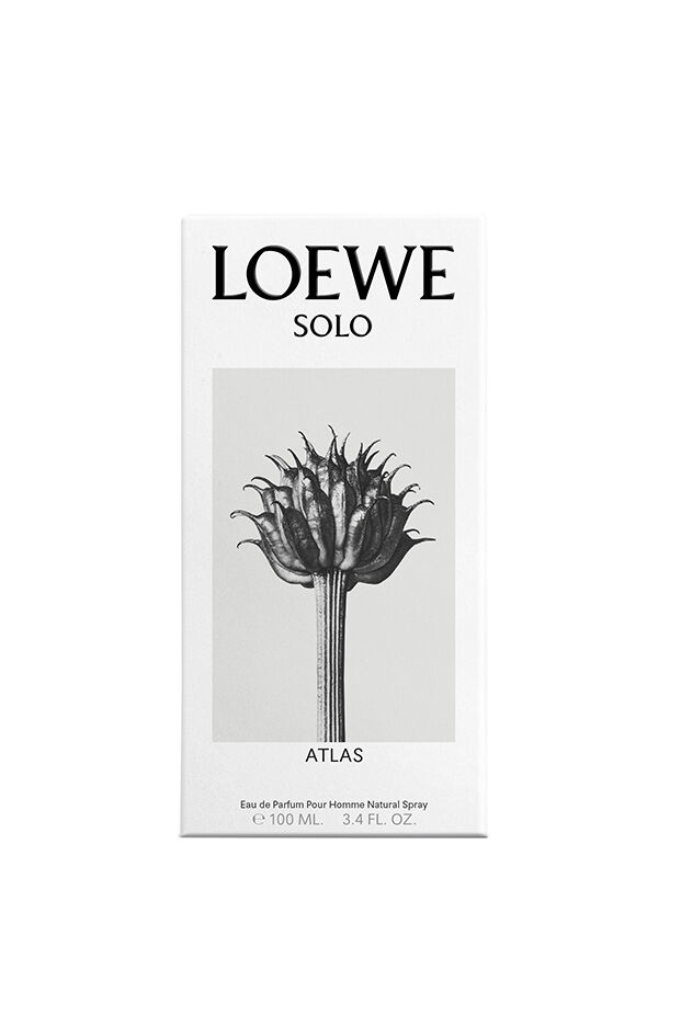 LOEWE Solo Atlas