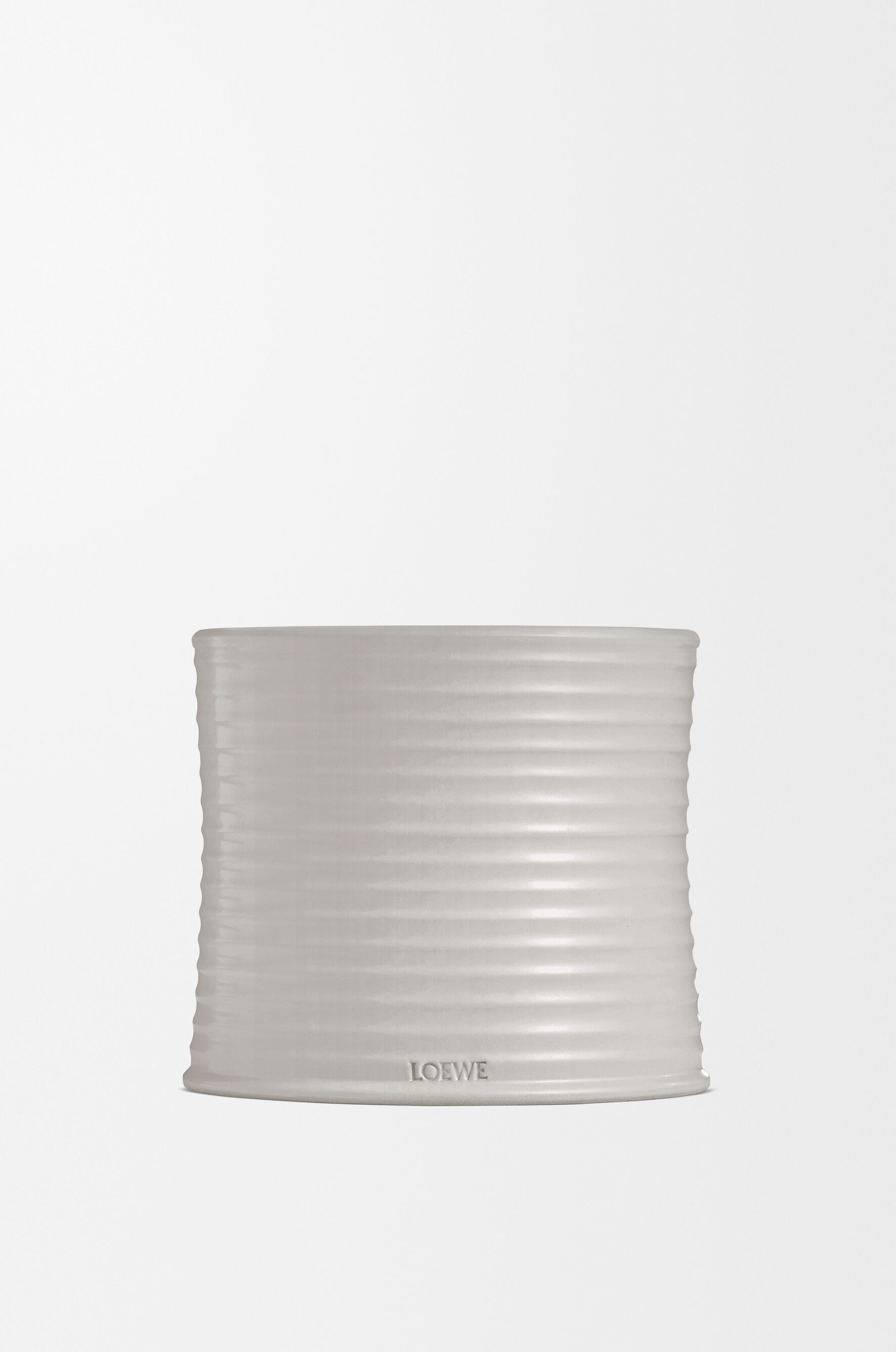 Oregano | LOEWE Perfumes