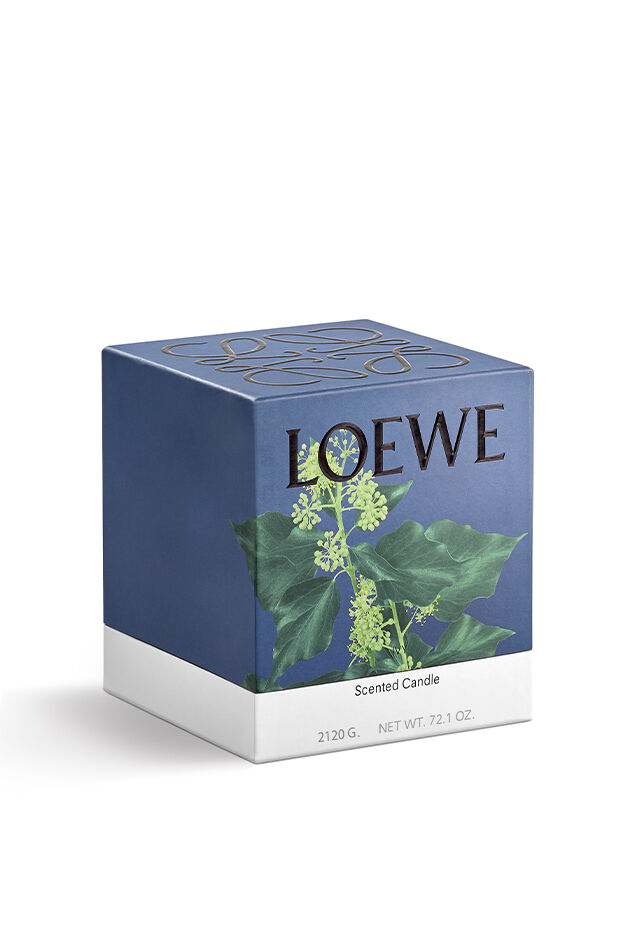 Large Ivy Candle 2 of 6