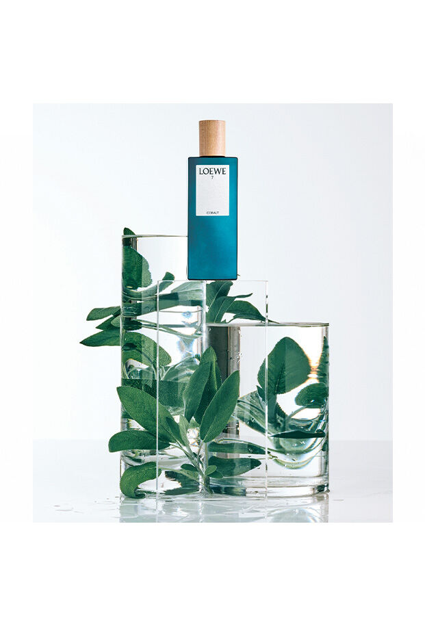 loewe perfume cobalt