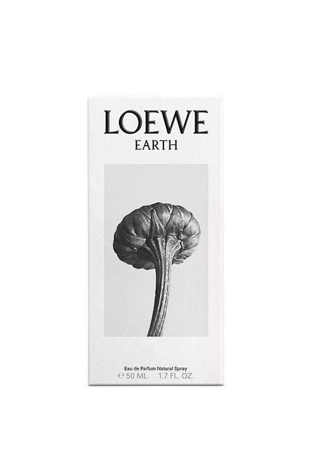 Buy online LOEWE Earth EDP | LOEWE Perfumes
