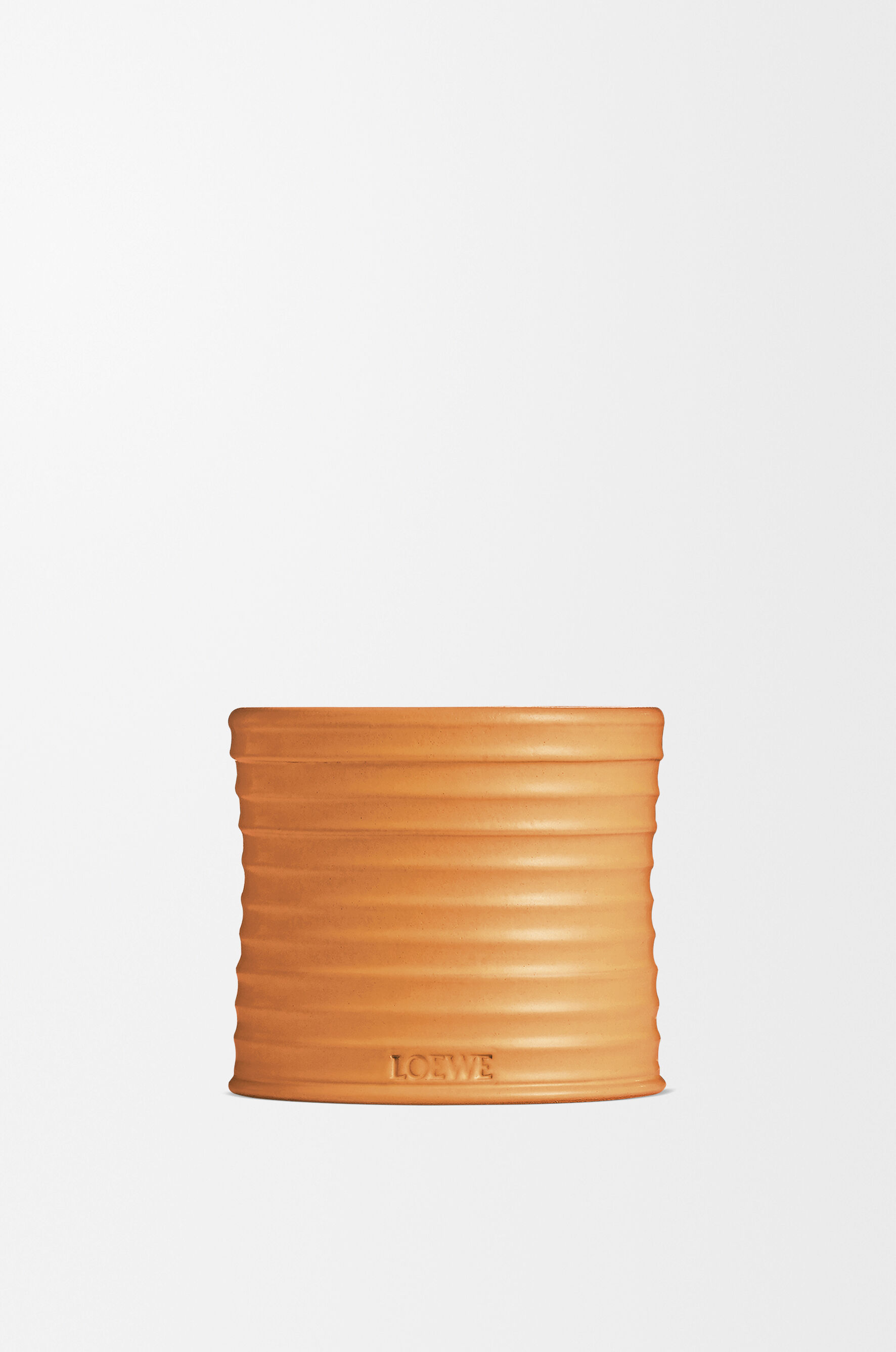 Orange Blossom | LOEWE Perfumes