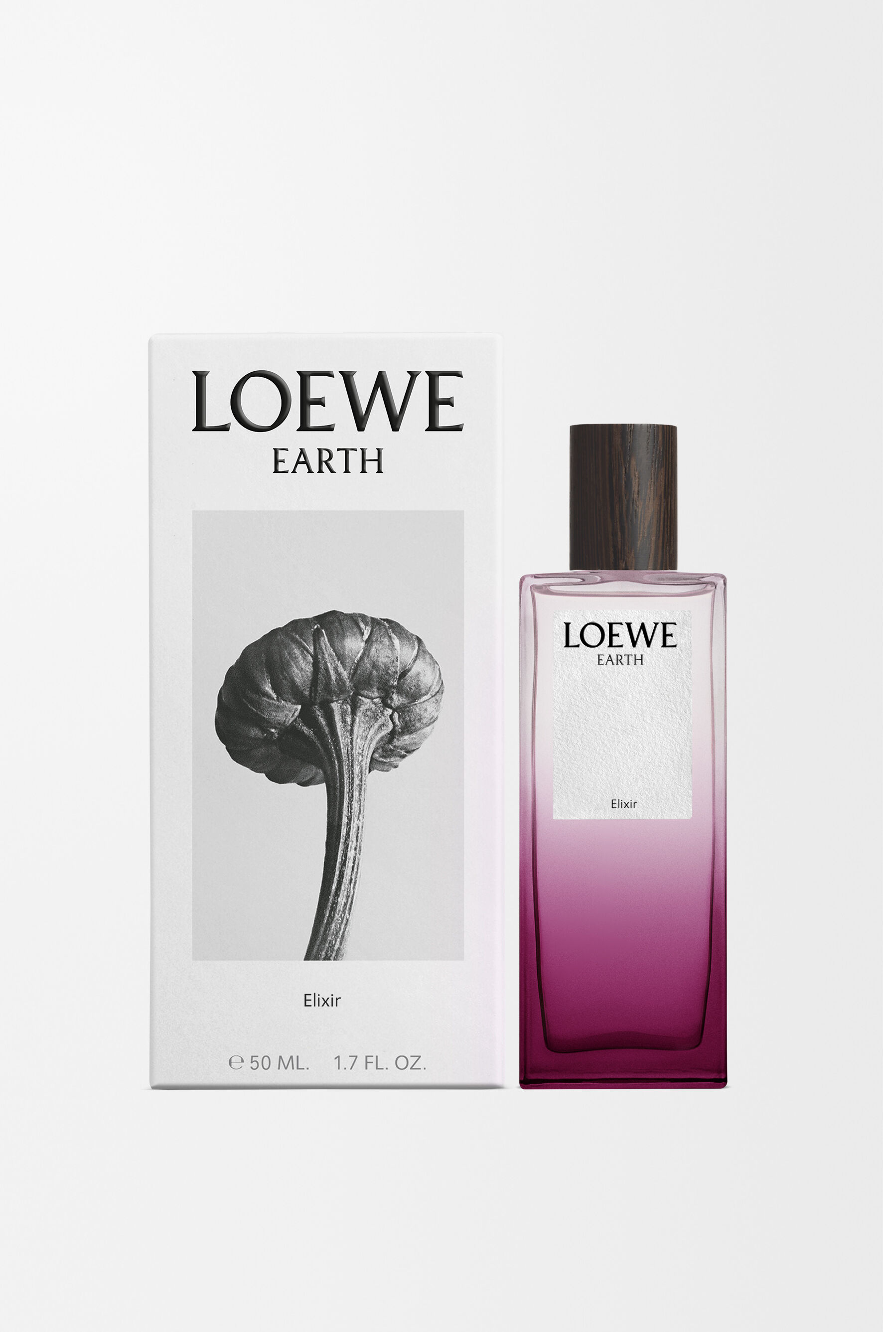 箱付き　LOEWE EARTH Eau de Parfum 50mL 香水 今すぐ購入 LOEWE Earth Elixir 50ml | ロエベ パルファム