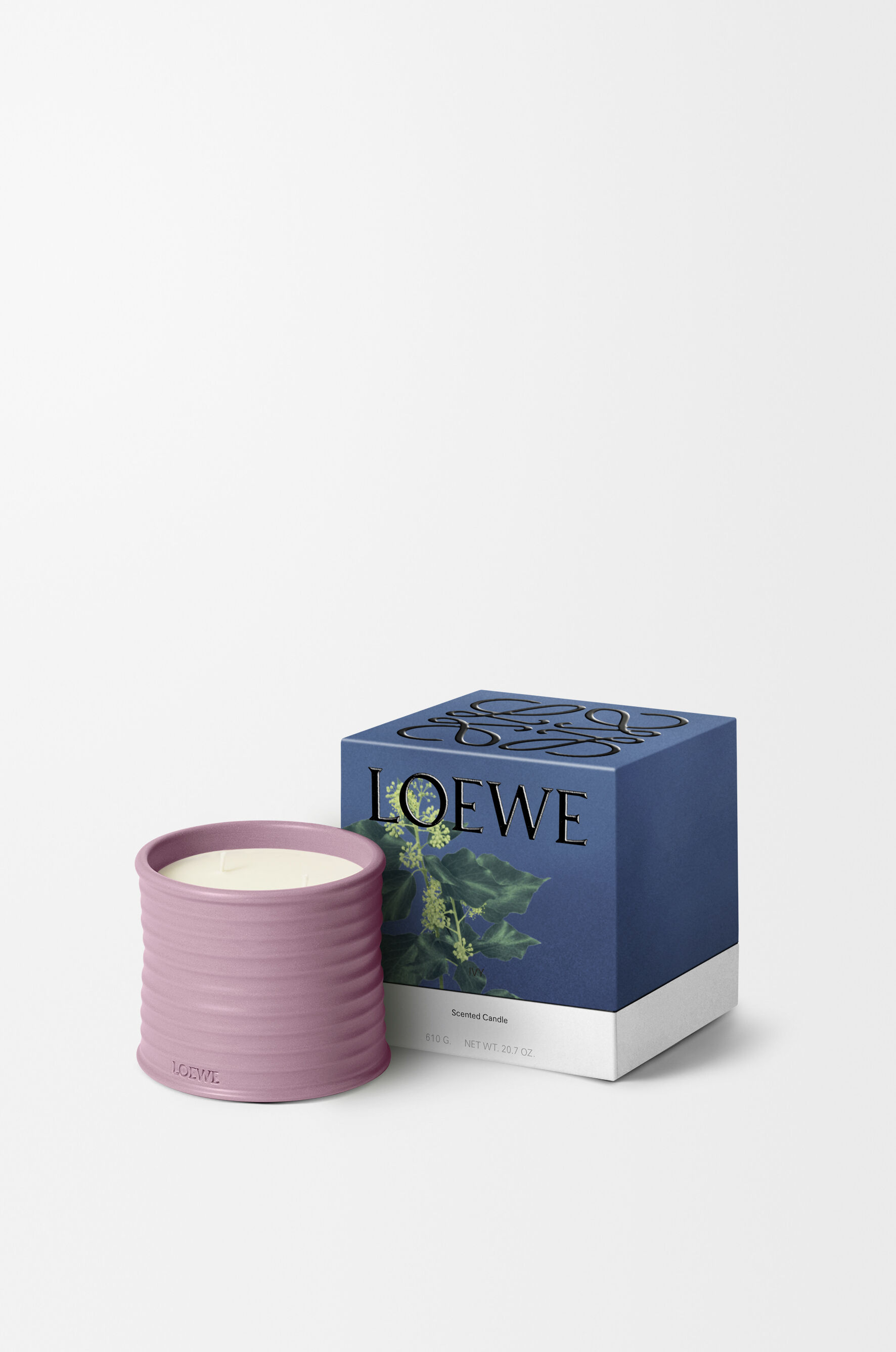 Ivy | LOEWE Perfumes