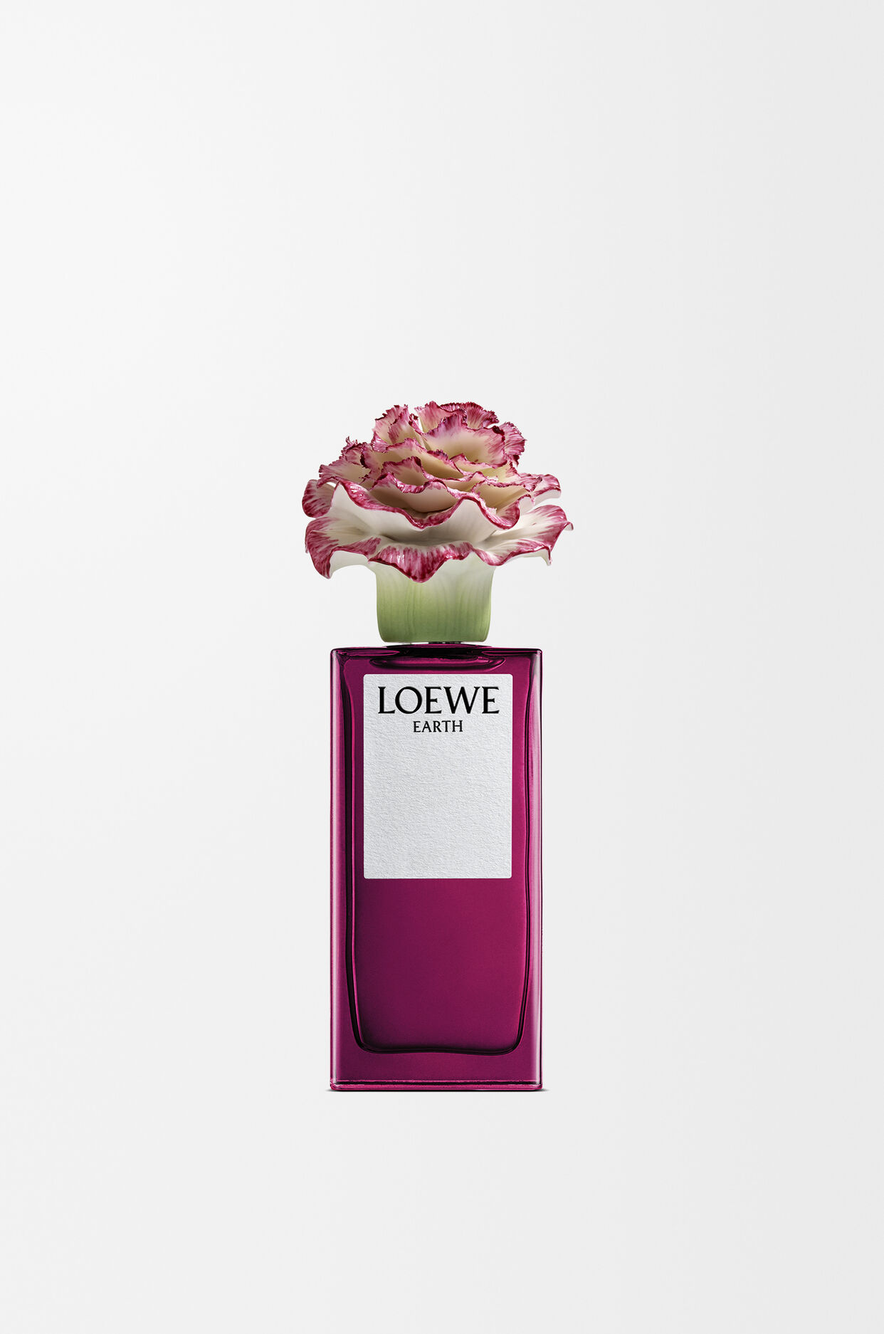 LOEWE Earth x Lladr&oacute; 1 de 5