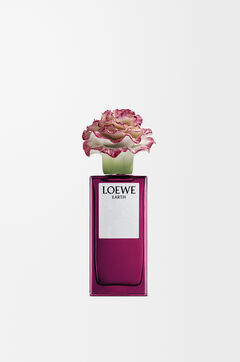 LOEWE Earth x Lladr&oacute;