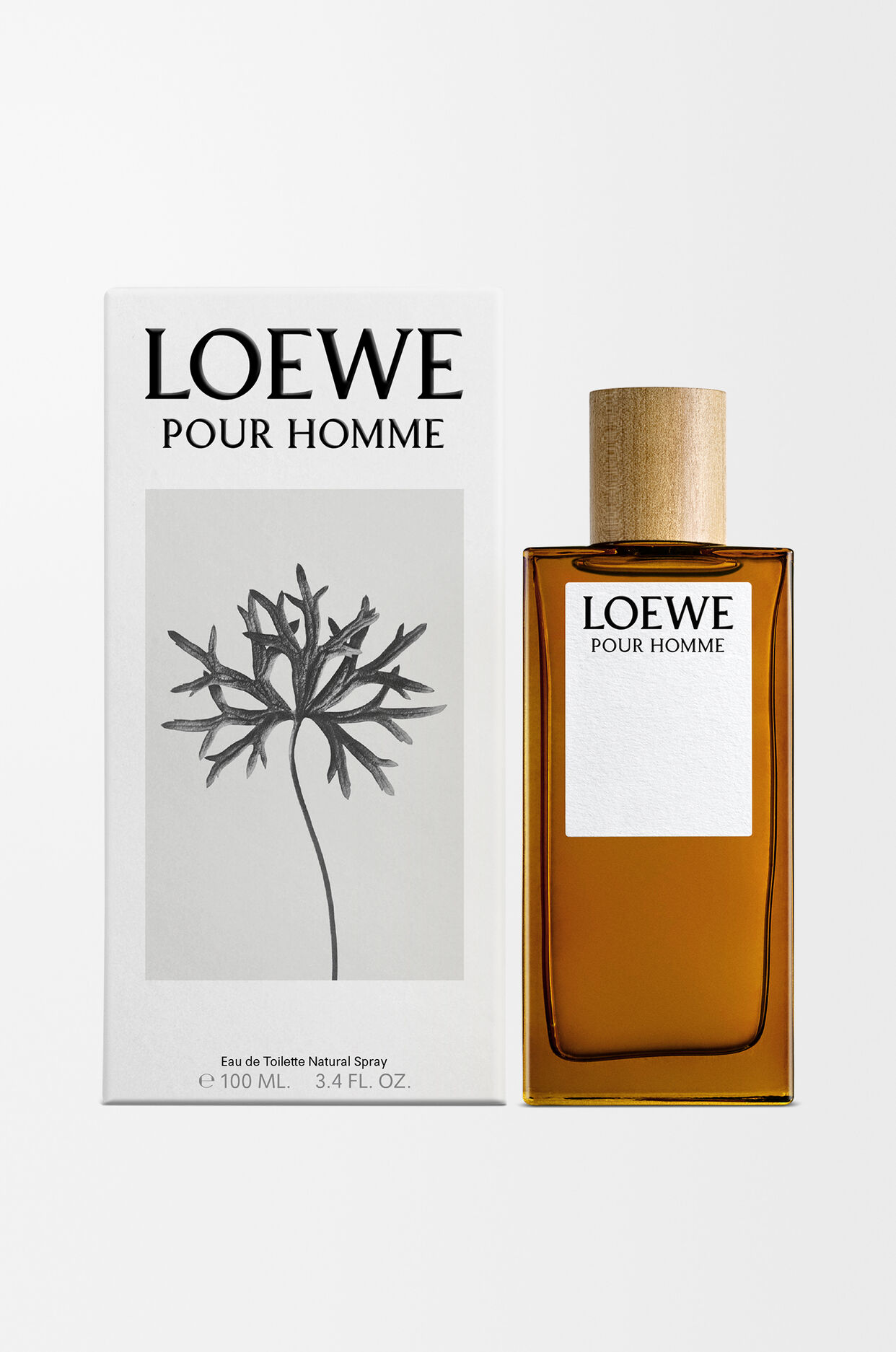 LOEWE Pour Homme EDT 100ml